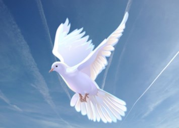Obituary of Antoni Dychitan Rivera