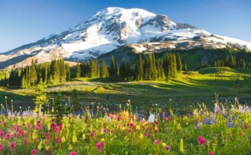 Obituary of Brian Leslie Bilger