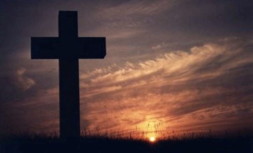Obituary of Nadine D. Doerr