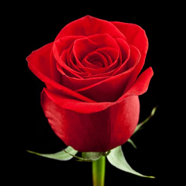 Obituary of Juan CARLOS Pinol