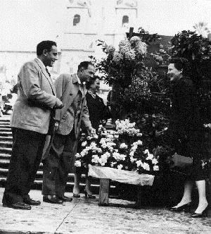 Obituary of Irene Harrower