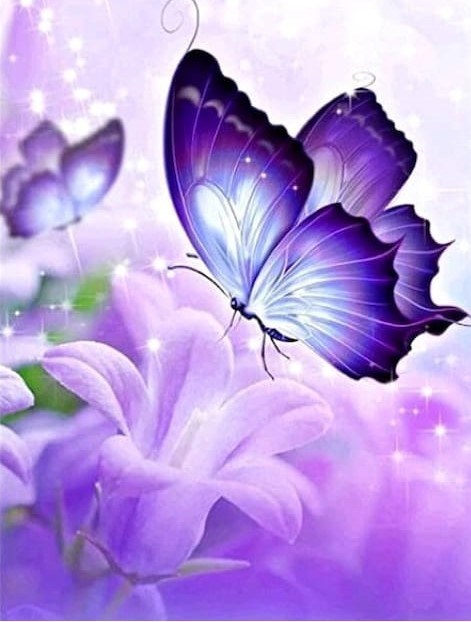 Obituary of Amanda Ann Cooper