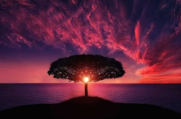 Obituary of Herschel Morrison