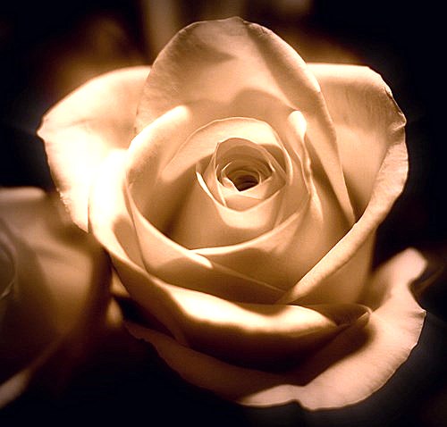 Obituary of Karona Wilson-Anokwu