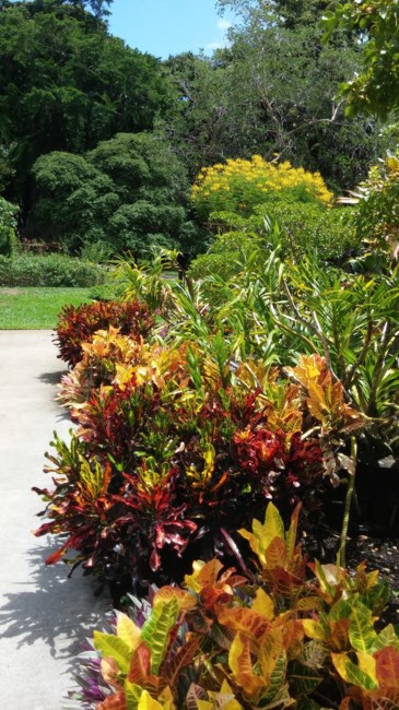 Obituary of Jen Fuh Tang