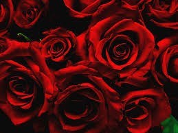 Avis de décès de Susan Olivia Roth