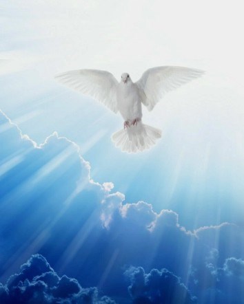 Obituary of Lenora A. Kelly