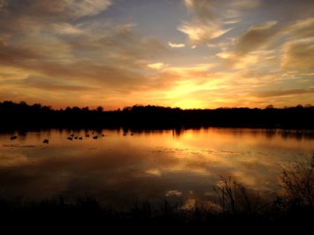 Obituary of Virginia Ray