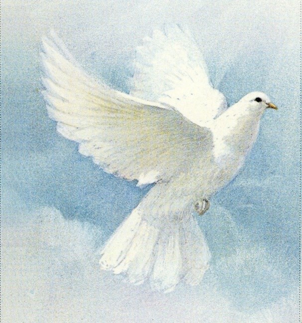 Obituary of Teresa P. Salazar