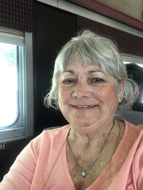 Obituary of Sheryl Eleanor Sanfilippo