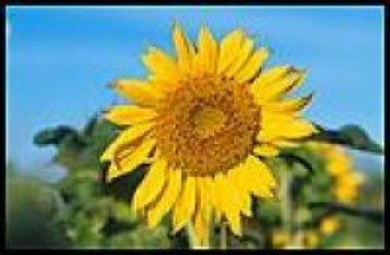 Obituary of Robert James Lovell