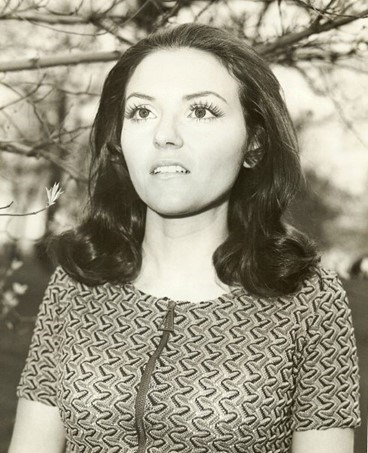 Obituary of Linda Tittle