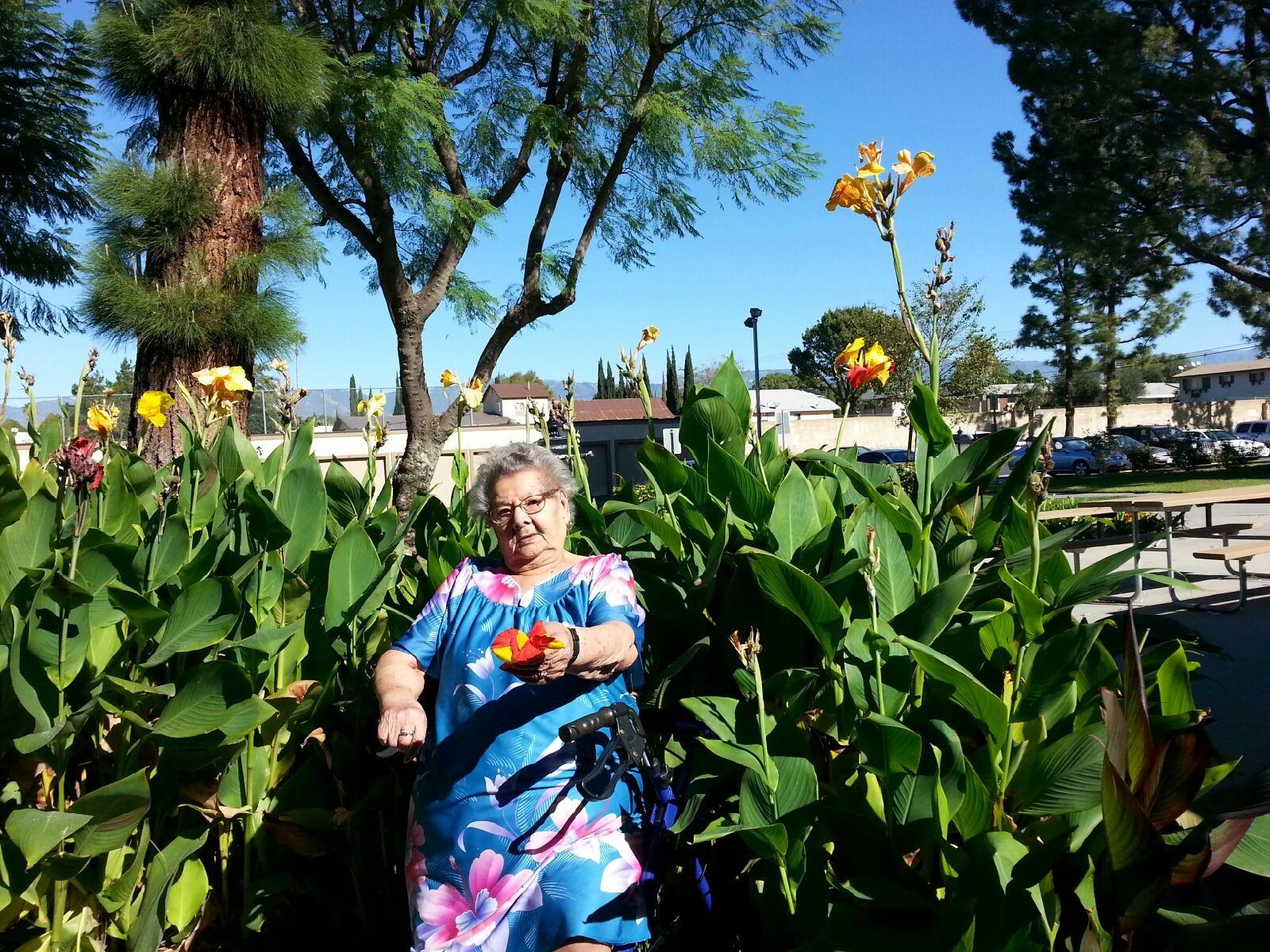 Obituary of Rosario Rojas