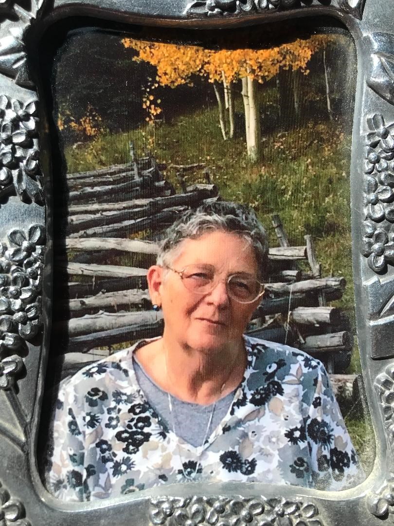 Obituary of Carol Anne Punkoney