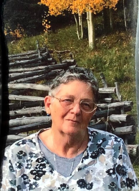 Obituary of Carol Anne Punkoney