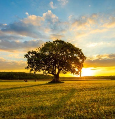 Obituary of Loretta Sue Lewis