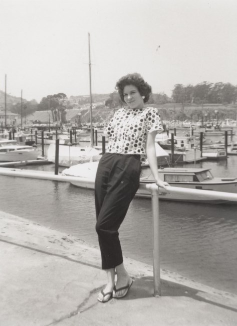 Obituary of Diane N. Socha