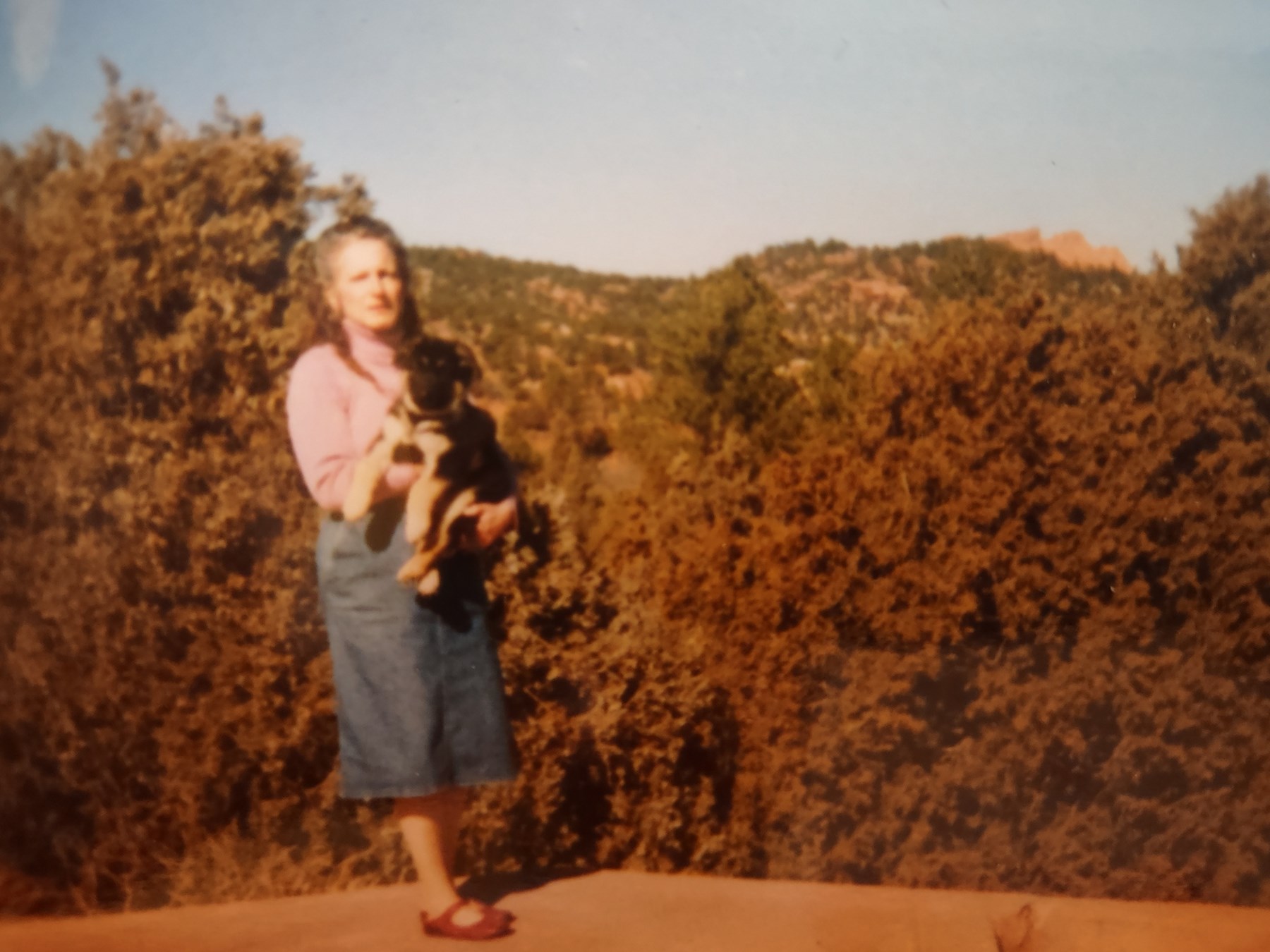 Obituary of Sandra Lee Merrick