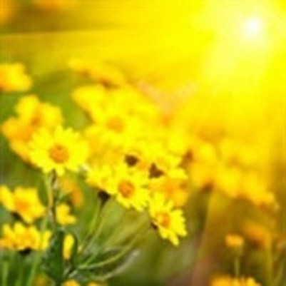 Obituary of Rose Jacqualine Johnson