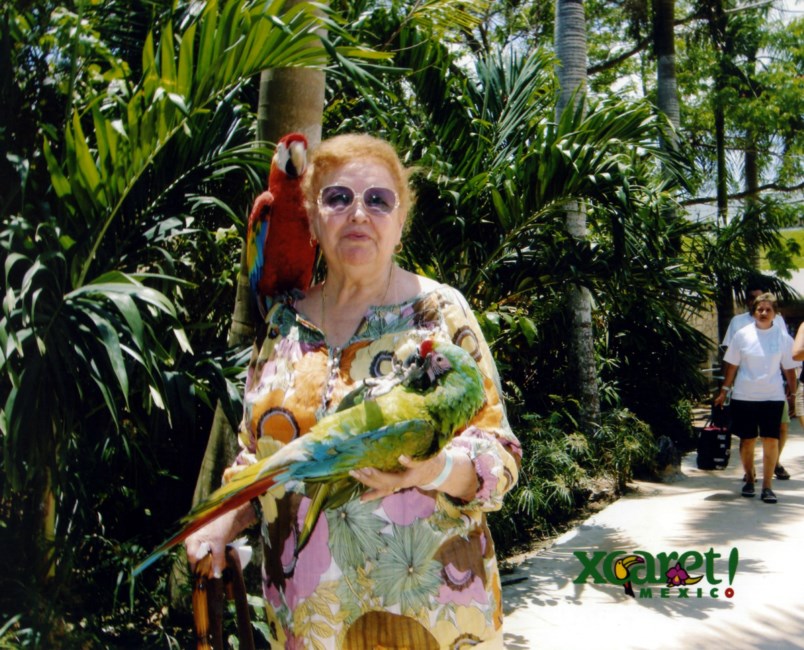 Obituary of Elvira Meza Negrete