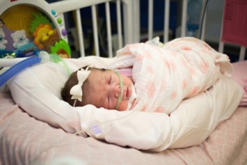 Obituary of Lainey Jo Ledger