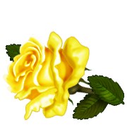 Obituary of Robert Pierson