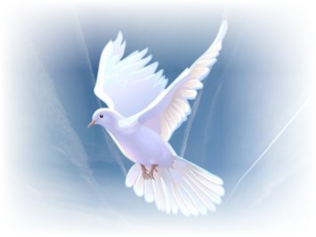 Obituary of Bruce D. Davis