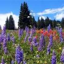 Obituary of Cory Michael Tobin