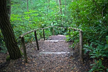 Obituary of Jose Gutierrez Jr.