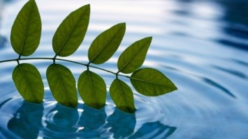 Obituary of Roy Donald Morris