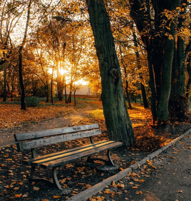 Obituary of Vincent Thomas Jones