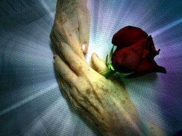 Obituary of Elvia Mohn