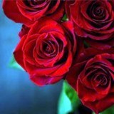 Obituary of Kathleen "Kathy" Carol Moore