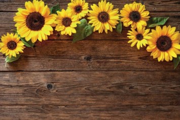 Obituary of Peggy Jean Johnson