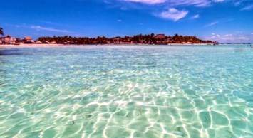 Obituary of Carmelo Nieves Baez