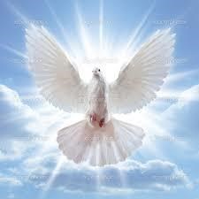 Obituary of Carol Sue Berg