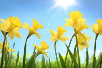 Obituary of Victoria Lynn Van Patten