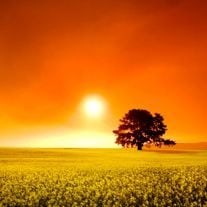 Obituary of Rexford George Moon