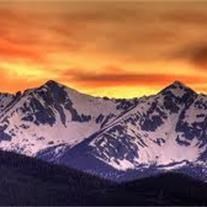 Obituary of Anna Blevins