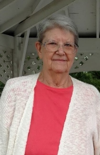 Obituary of Linda McDaniel Nettles