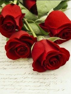 Obituary of Enrique Reyes Capulong