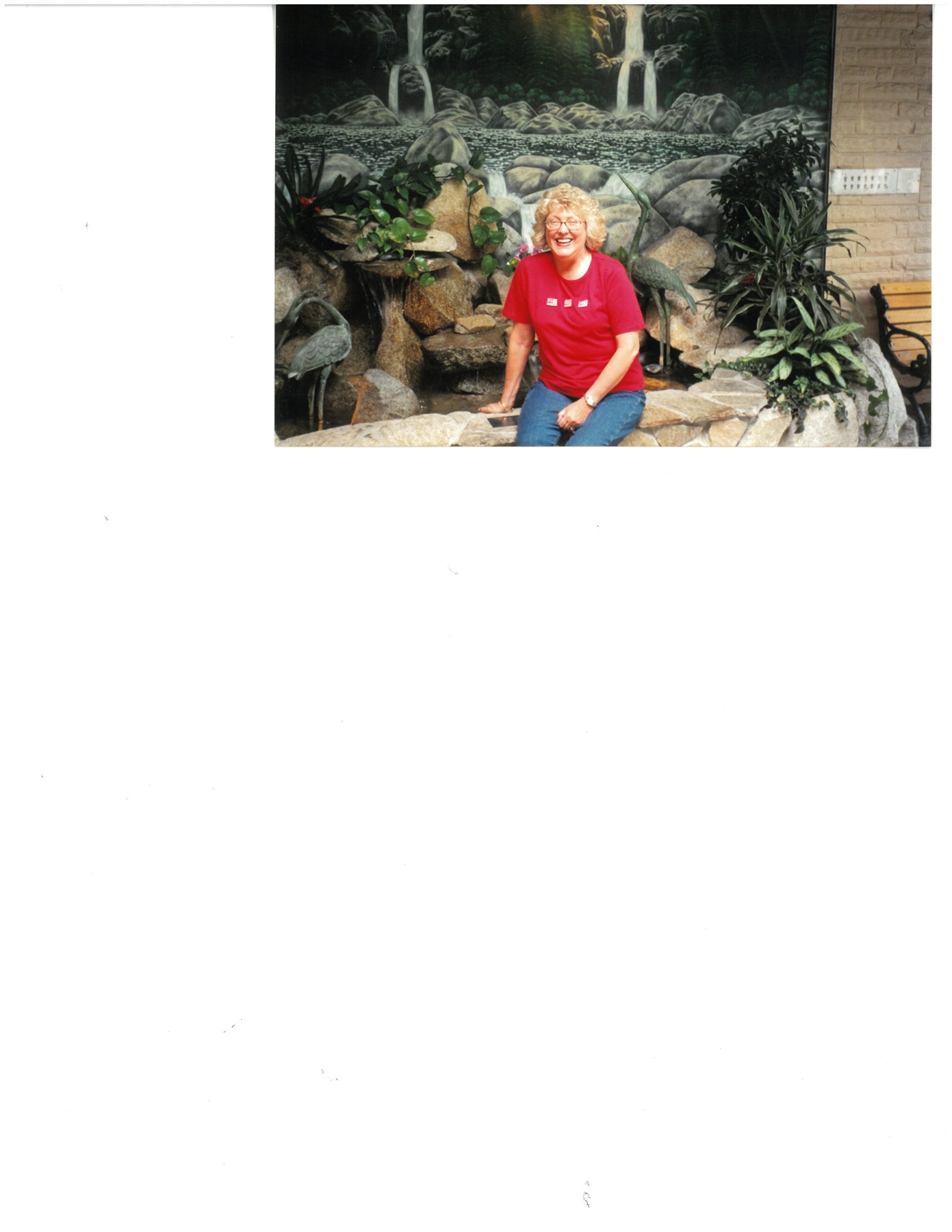 Obituary of Diane Kay Rau