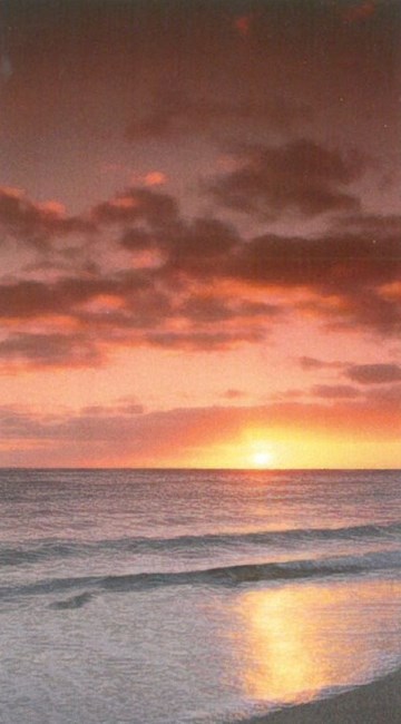 Obituary of Dolores Marie Miller