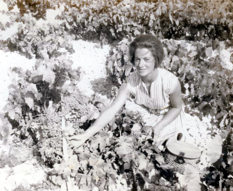 Obituary of Ivy Powell Johnson