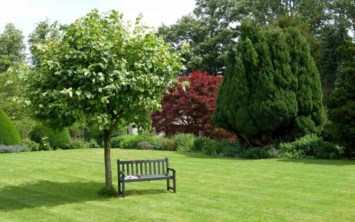 Obituary of Salvatore Dominick Russo Jr.