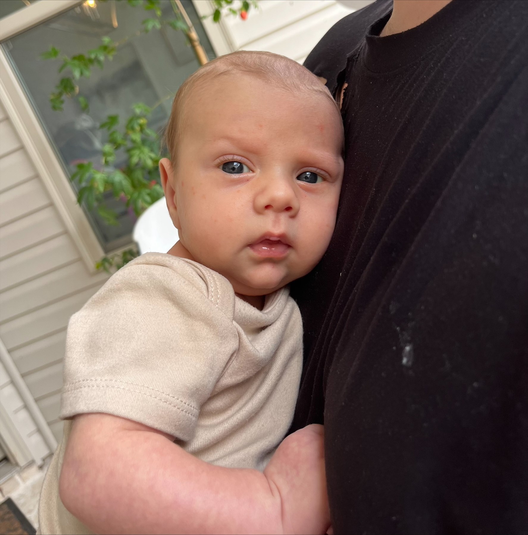 Obituary of Nathan John Torregrossa