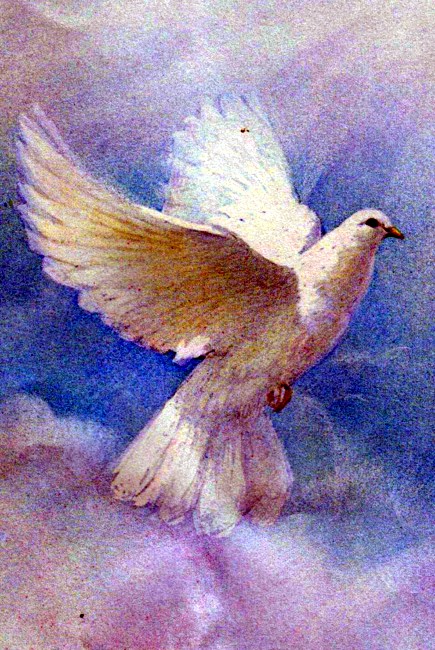 Obituary of Irene C Sugrue