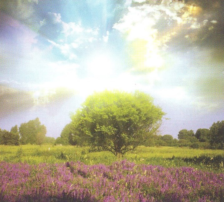 Obituary of Peggy Null