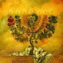 Obituary of Jay Stewart Zucker