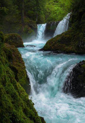 Obituary of Jose Perez